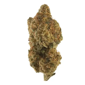 Cresco RSE 27/1 – Jack Black – Produktbild des Anbieters Dr. Ansay