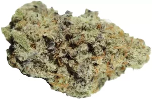 Cannamedical Hybrid Forte – MAC 1 – Produktbild des Anbieters Dr. Ansay