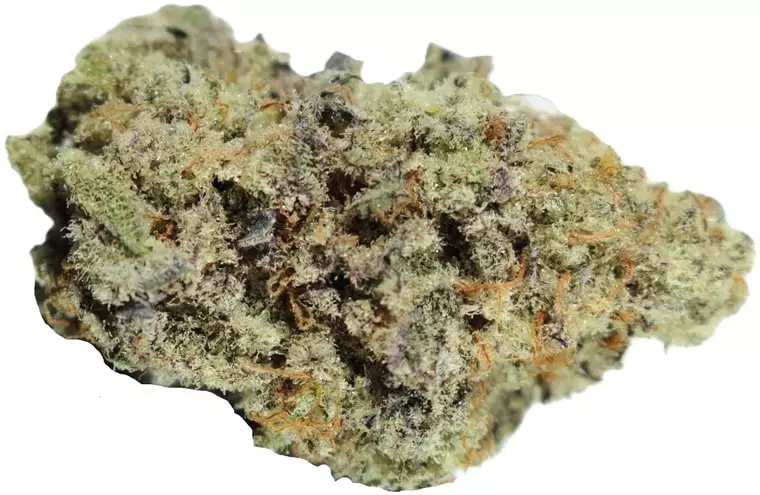 Cannamedical Hybrid Forte – MAC 1 – Produktbild des Anbieters Dr. Ansay