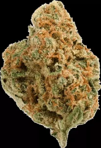 Vayamed Day 19/1 – Tangie – Produktbild des Anbieters Dr. Ansay