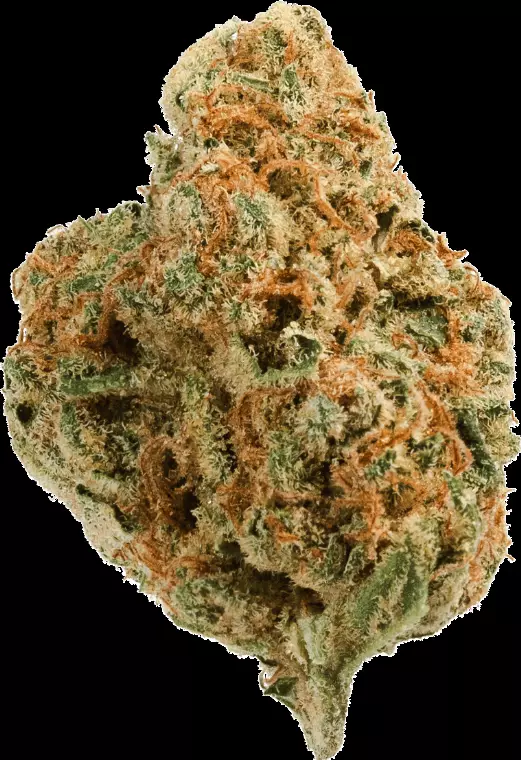 Vayamed Day 19/1 – Tangie – Produktbild des Anbieters Dr. Ansay