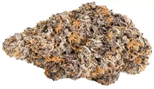 Barongo 30/1 DG – Doperman – Produktbild des Anbieters Dr. Ansay
