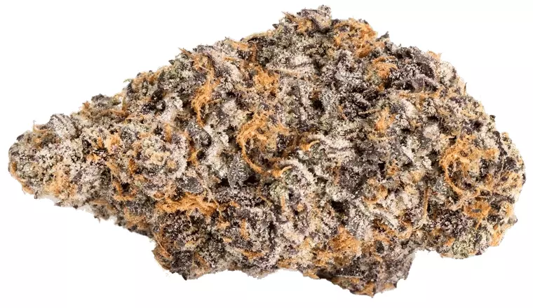 Barongo 30/1 DG – Doperman – Produktbild des Anbieters Dr. Ansay