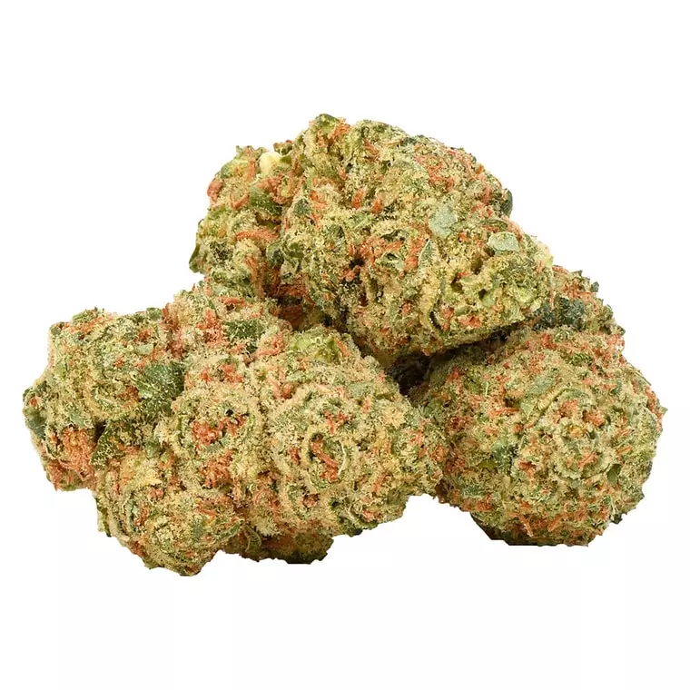 enua 27/1 DGB CA – Durban Gorilla – Produktbild des Anbieters Dr. Ansay