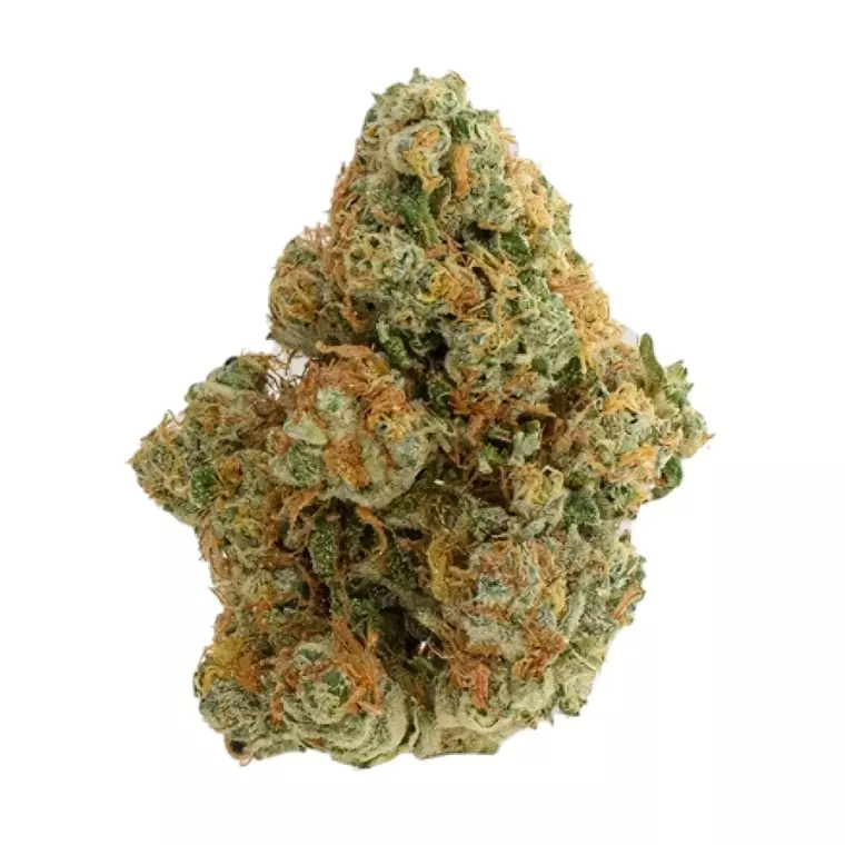 Drapalin 31/1 Da Fux – Gary Payton x Gushers – Produktbild des Anbieters Dr. Ansay
