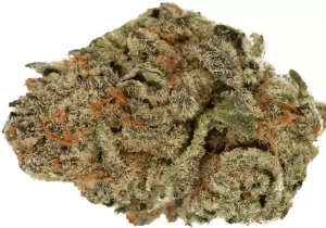 Cannamedical Indica Classic ZAF – Dank Wafers – Produktbild des Anbieters Dr. Ansay