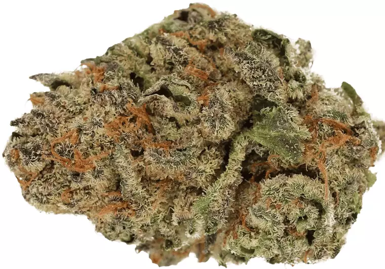 Cannamedical Indica Classic ZAF – Dank Wafers – Produktbild des Anbieters Dr. Ansay