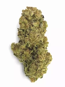 Drapalin 28/1 Bliss – Girl Scout Cookies x Tangie – Produktbild des Anbieters Dr. Ansay