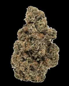 Drapalin 29/1 Cape Canaveral – Mandarin Sunset x Girl Scout Cookies – Produktbild des Anbieters Dr. Ansay