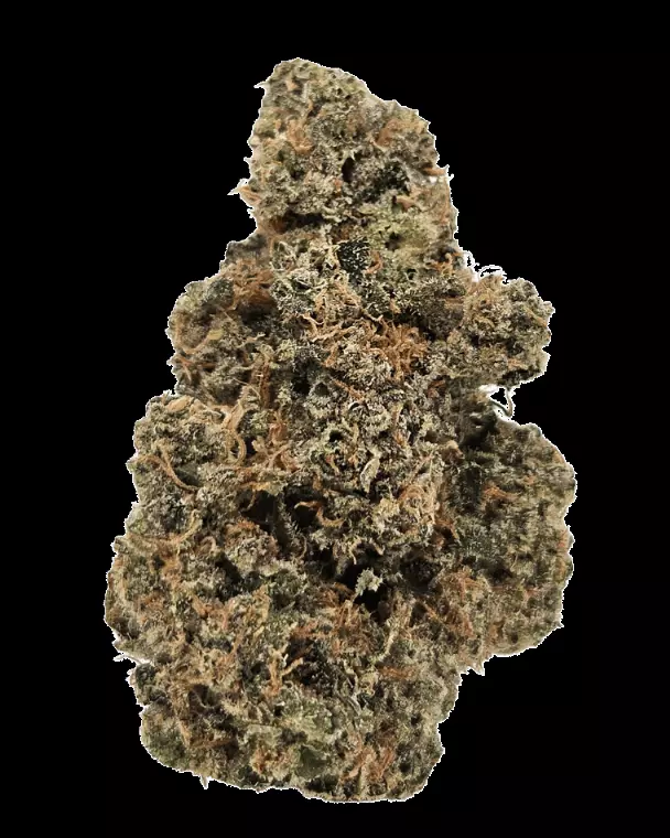 Drapalin 29/1 Cape Canaveral – Mandarin Sunset x Girl Scout Cookies – Produktbild des Anbieters Dr. Ansay