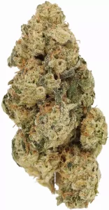 LUANA 28/1 DURBAN – Durban Poison – Produktbild des Anbieters Dr. Ansay