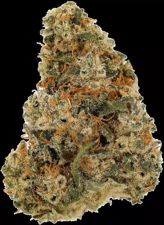 Cannamedical Sativa Forte DK – Super Lemon Haze – Produktbild des Anbieters Dr. Ansay