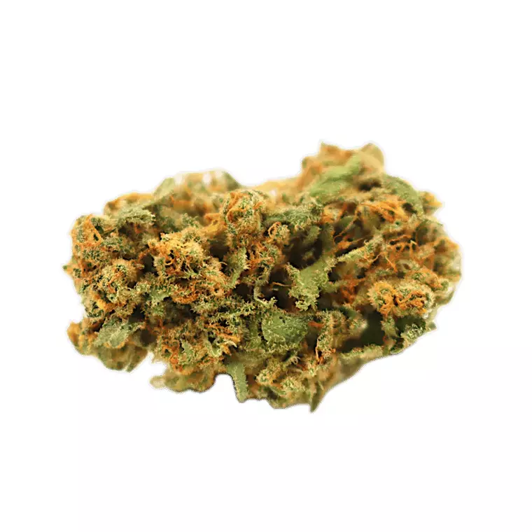 Remexian 18/1 – White Widow – Produktbild des Anbieters Dr. Ansay