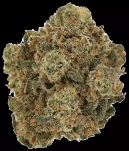 Cannamedical Hybrid Forte DK – Fullgas – Produktbild des Anbieters Dr. Ansay
