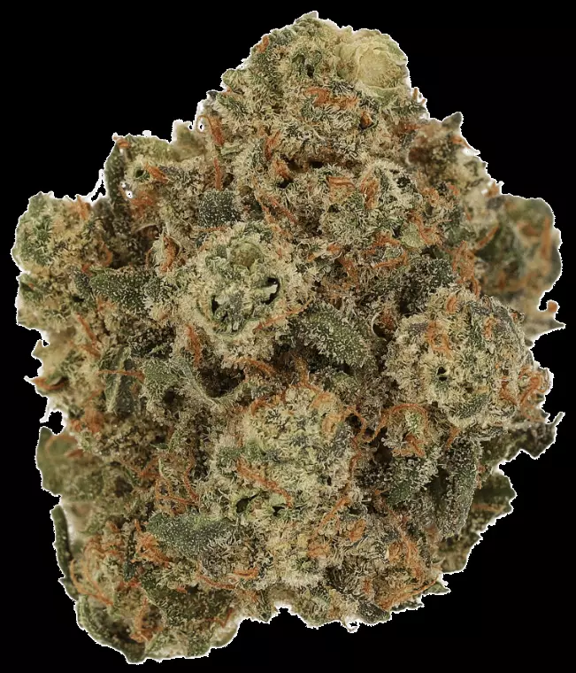 Cannamedical Hybrid Forte DK – Fullgas – Produktbild des Anbieters Dr. Ansay