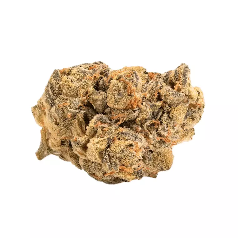 Remexian 27/1 Eco MYZ – Munyunz – Produktbild des Anbieters Dr. Ansay