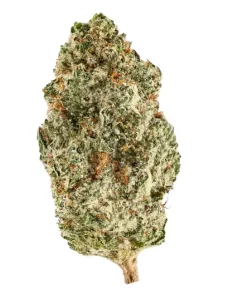slouu 30/1 PS3 CA GCB – God Cherry Bud – Produktbild des Anbieters Dr. Ansay