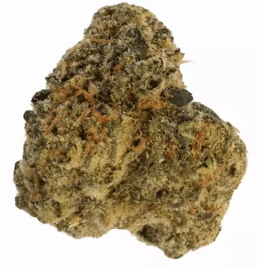 Greyscales by LOT 420 HF 30/1 – Hawaiian Faanta 30/1 – Produktbild des Anbieters Dr. Ansay