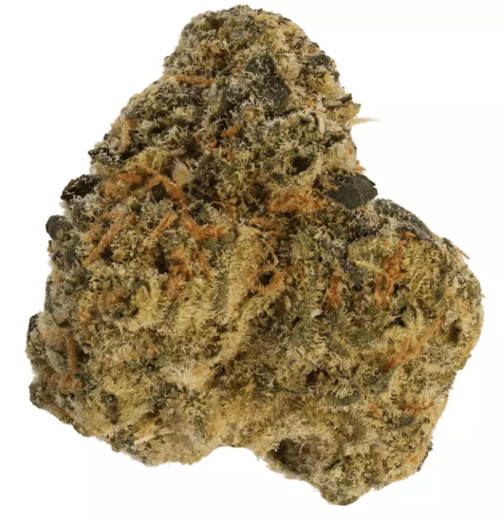 Greyscales by LOT 420 HF 31/1 – Hawaiian Faanta – Produktbild des Anbieters Dr. Ansay