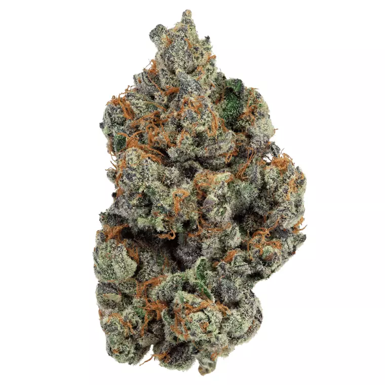 enua 30/1 GKM CA – Gelatti Kush Mints – Produktbild des Anbieters Dr. Ansay