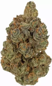 Cannamedical Hybrid Forte BC – Garlic Truffle – Produktbild des Anbieters Dr. Ansay