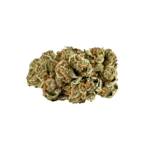 slouu 30/1 GLZ CA – Garlic Z – Produktbild des Anbieters Dr. Ansay