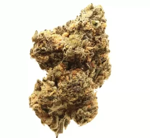 MC Regular Drop 2 – Gaschata (Horchata x Grape Gasolime) – Produktbild des Anbieters Dr. Ansay