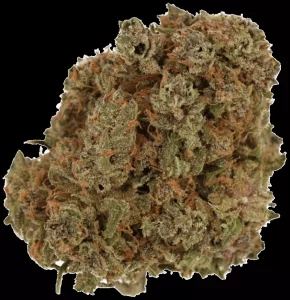 Cannamedical Indica Classic DK 22/1 – Gelat Skyfloater – Produktbild des Anbieters Dr. Ansay