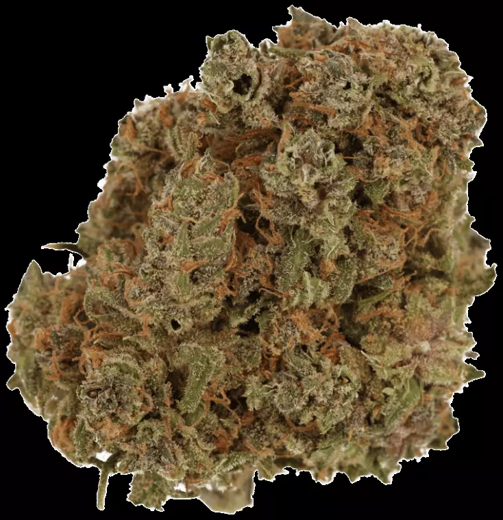 Cannamedicial Indica Classic DK 21/1 – Gelat Skyfloater – Produktbild des Anbieters Dr. Ansay