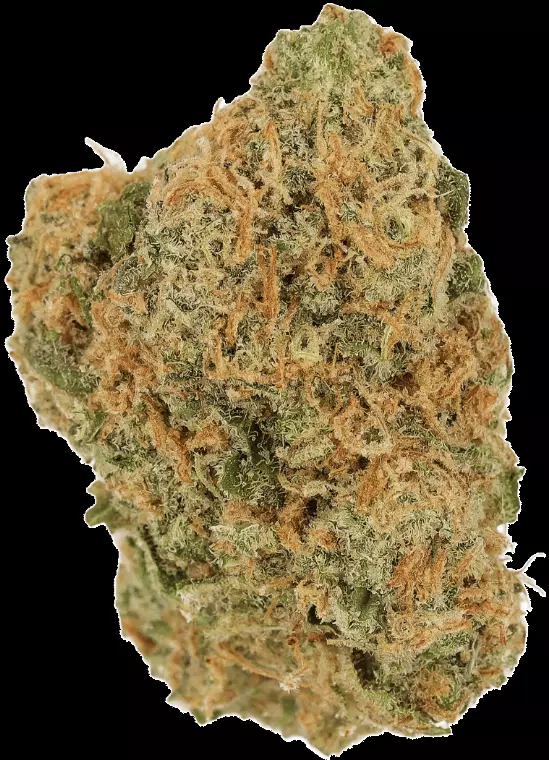 Cannamedical Sativa Forte NM – Gelato Dream – Produktbild des Anbieters Dr. Ansay
