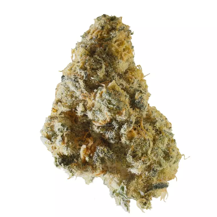 Gestion Cannabec OS 21/1 – Oreoz Supreme – Produktbild des Anbieters Dr. Ansay