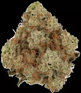 Cannamedical Hybrid Classic DK – Ghost Train Haze – Produktbild des Anbieters Dr. Ansay