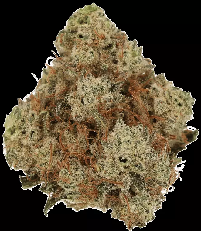 Cannamedical Hybrid Classic DK – Ghost Train Haze – Produktbild des Anbieters Dr. Ansay