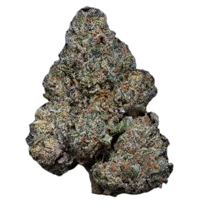 24/1 Amici GB – Godberry – Produktbild des Anbieters Dr. Ansay