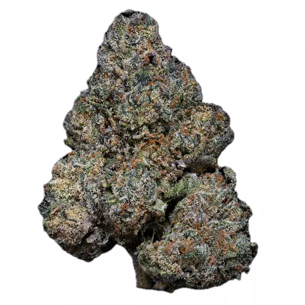 24/1 Amici GB – Godberry – Produktbild des Anbieters Dr. Ansay