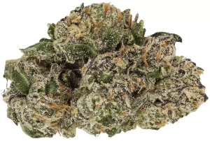 Cannamedical Sativa Forte NM – Goofiez – Produktbild des Anbieters Dr. Ansay