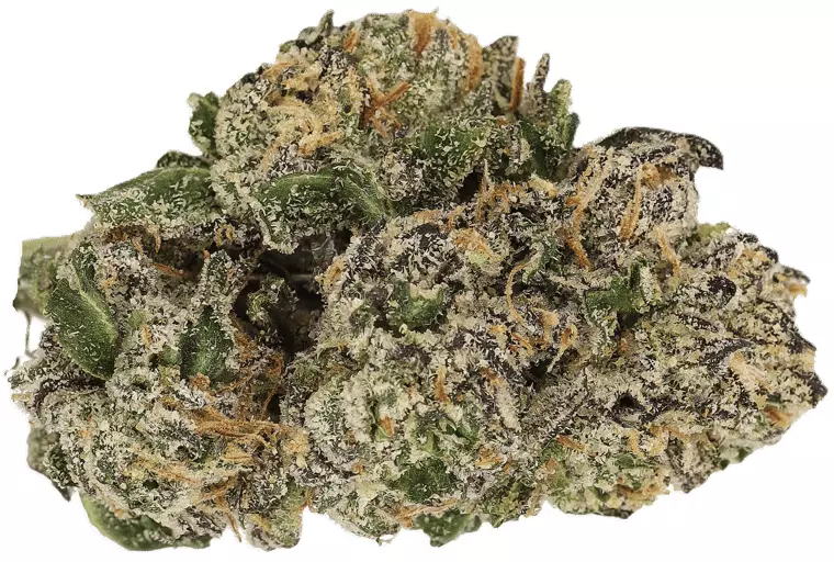 Cannamedical Sativa Forte NM – Goofiez – Produktbild des Anbieters Dr. Ansay