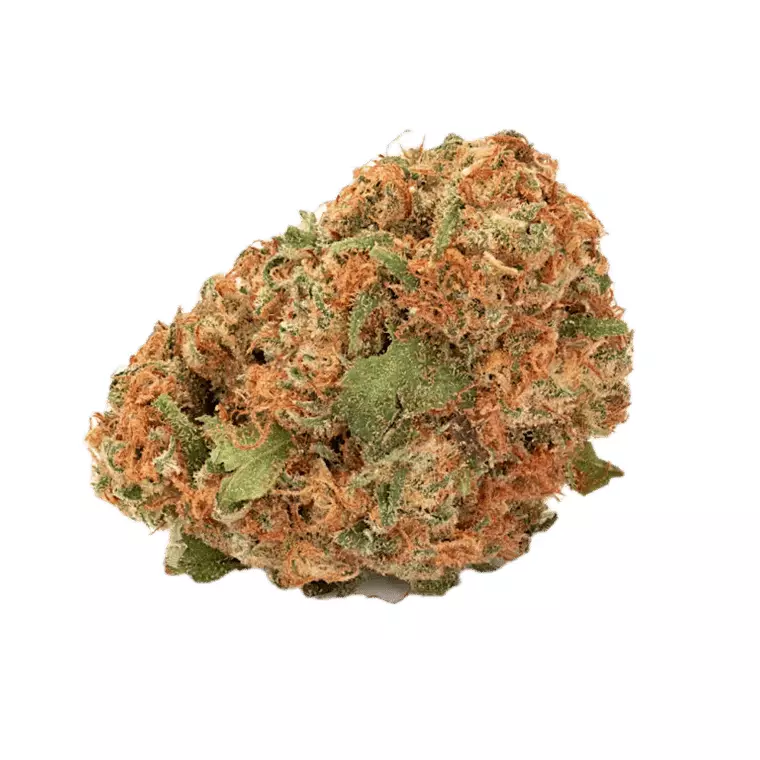 Remexian 20/1 – White Widow – Produktbild des Anbieters Dr. Ansay