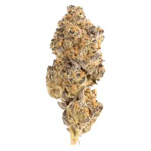 avaay 28/1 GNC – Grapes and Cream – Produktbild des Anbieters Dr. Ansay