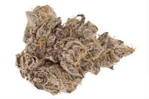 Greyscales by LOT 420 GF 18/1 – Grape Fuel – Produktbild des Anbieters Dr. Ansay