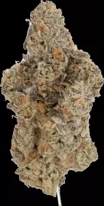 Demecan Epic Drop 30:01 – Gush Mints – Produktbild des Anbieters Dr. Ansay