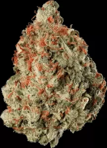 TYSON 2.0 30/1 – Haymaker Haze – Produktbild des Anbieters Dr. Ansay