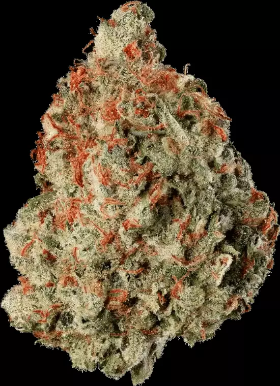 TYSON 2.0 30/1 – Haymaker Haze – Produktbild des Anbieters Dr. Ansay