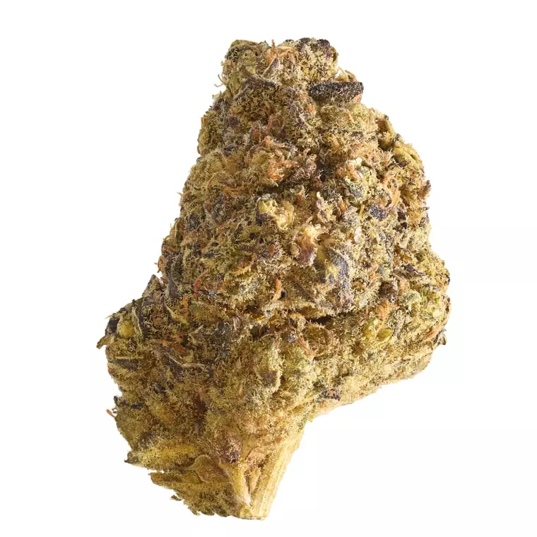Hi Society WT 27/1 – White Truffle – Produktbild des Anbieters Dr. Ansay