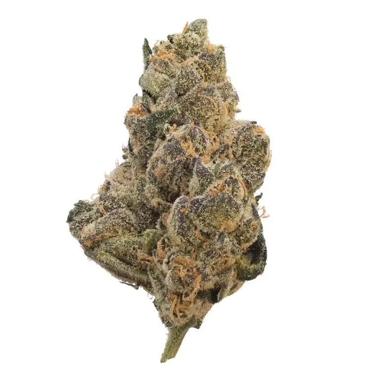 High Greens AA 26/1 – Atomic Apple – Produktbild des Anbieters Dr. Ansay