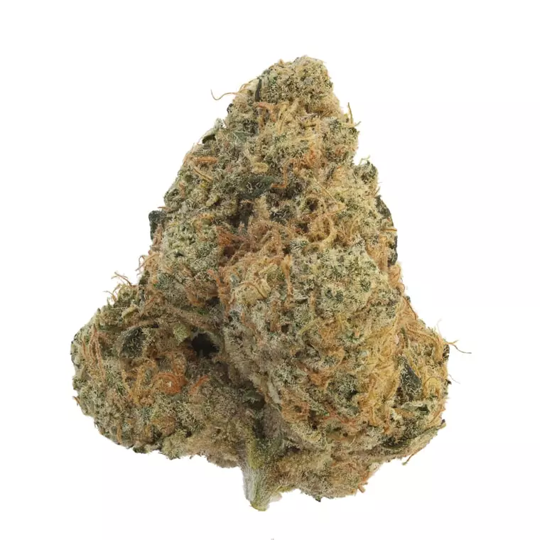 High Greens FZ 30/1 – Funky Zkittlez – Produktbild des Anbieters Dr. Ansay