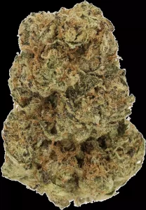LUANA 24/1 Kush – Hippie Kush – Produktbild des Anbieters Dr. Ansay