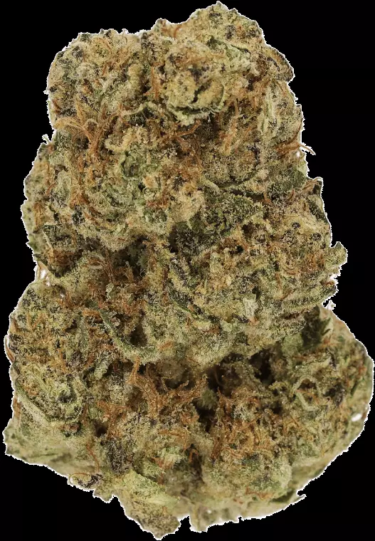 LUANA 28/1 Kush – Hippie Kush – Produktbild des Anbieters Dr. Ansay