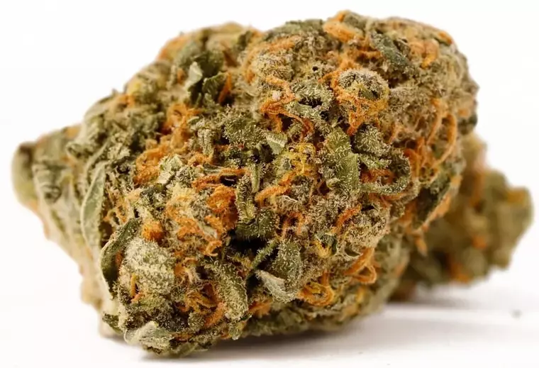 Cannamedical Hybrid Forte NM – Gorilla Zkittlez – Produktbild des Anbieters Dr. Ansay
