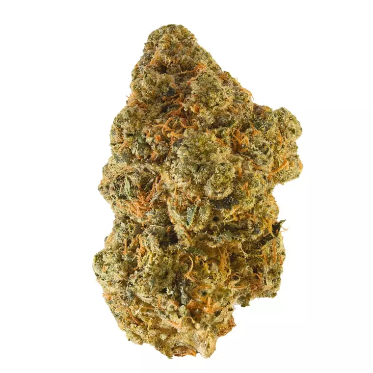 Truth Holdings LH 31/1 – Liberty Haze – Produktbild des Anbieters Dr. Ansay